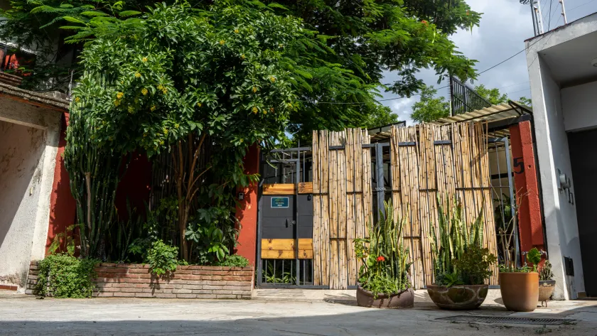 Casa del Árbol Xochimilco - Image 1