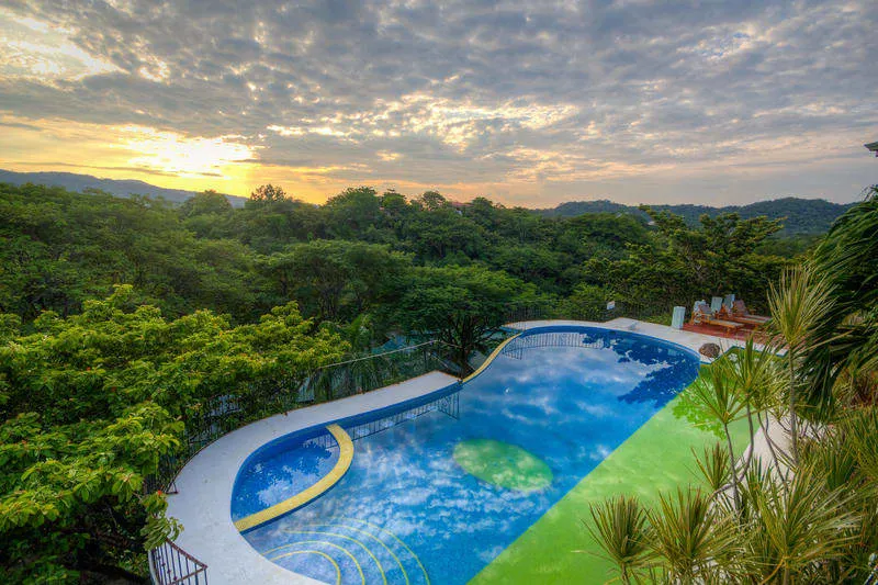 Jungle's Edge Hotel - Image 1