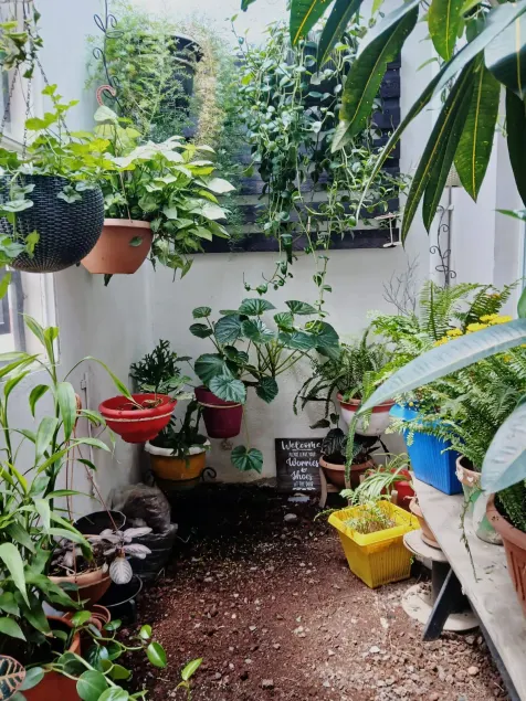 La Casa de Olga - Image 1