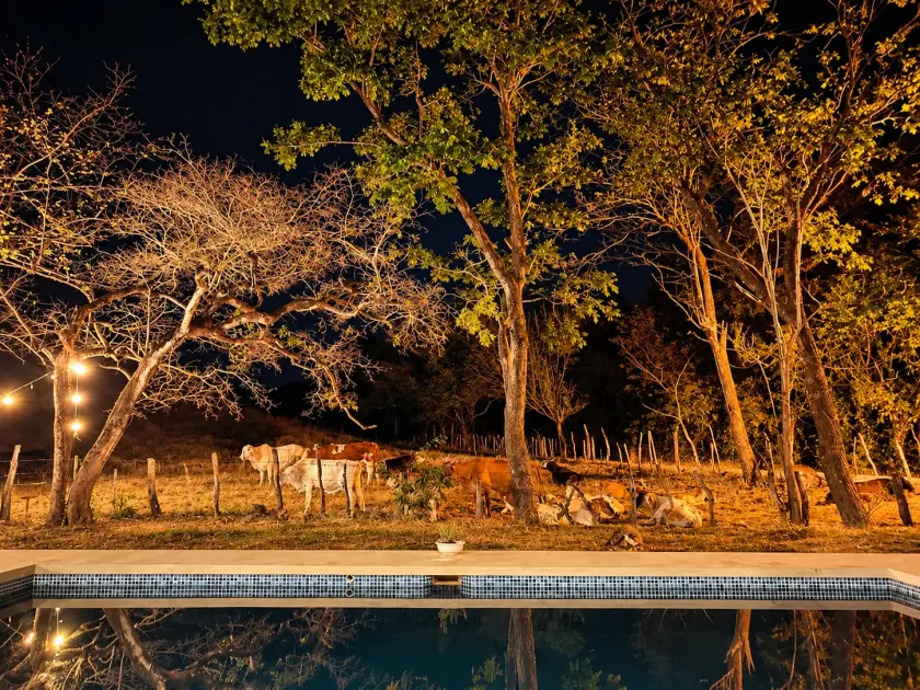 Hostel Nicoa - Image 1