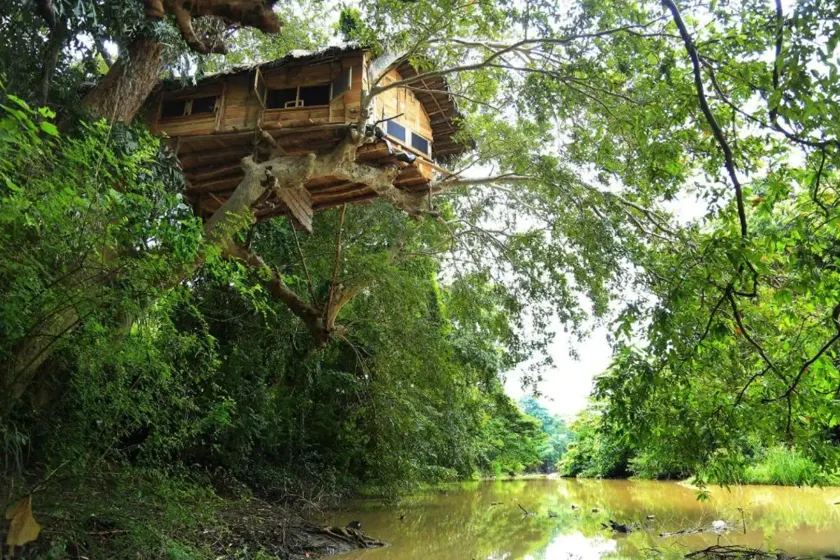 Yala Shenu Safari Tourist Inn - Image 1