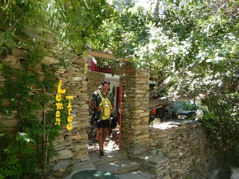 Lemon Tree Hostel - Image 1