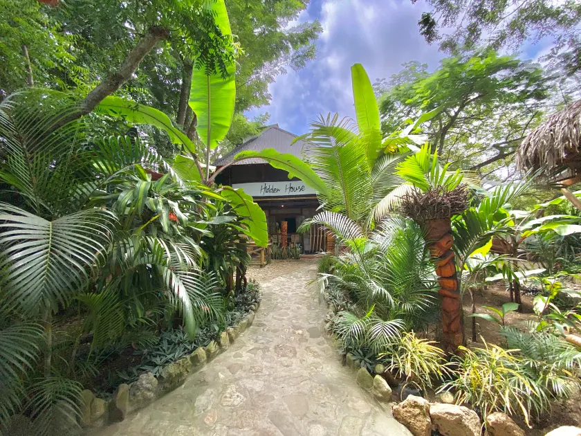 Hidden House Hostel Montañita - Image 1