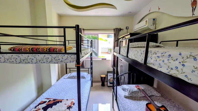 Lazy Turtle Hostel - Image 1