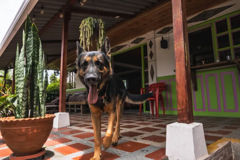 Hostal Cattleya - Image 1