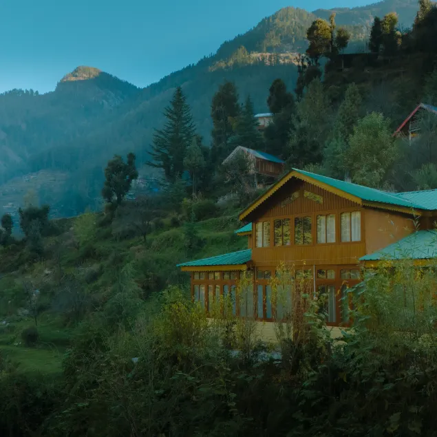 Shasha - Paused Perfect - Image 1