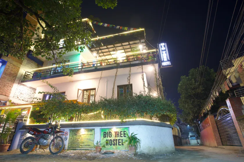 Big Tree Hostel - Image 1