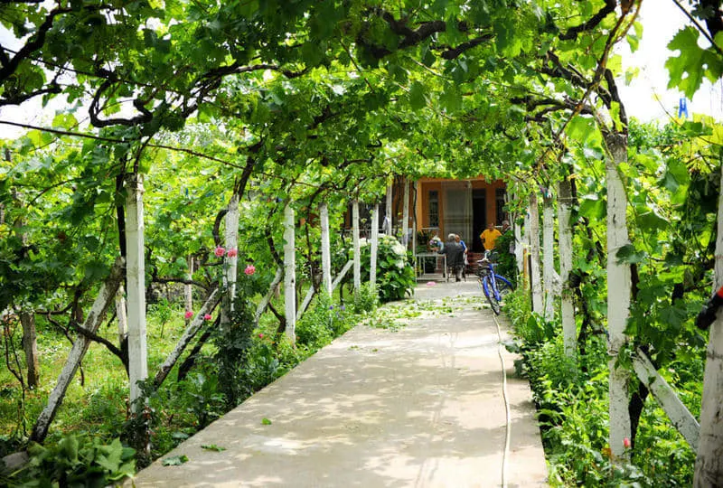 Florians Guesthouse - Image 1