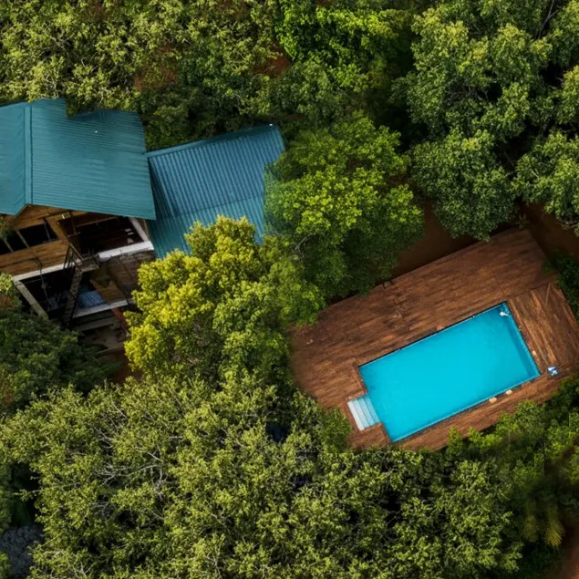 Tree House Hostel Sigiriya - Image 1