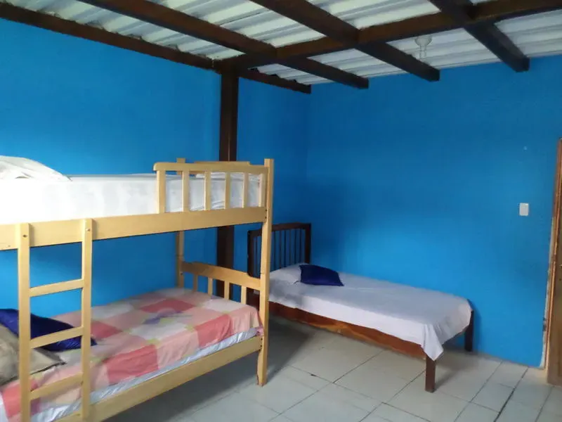 Thefunkymonkeyhostel - Image 1