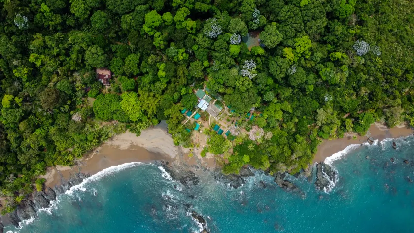 Corcovado Jungle Hostel - Image 1