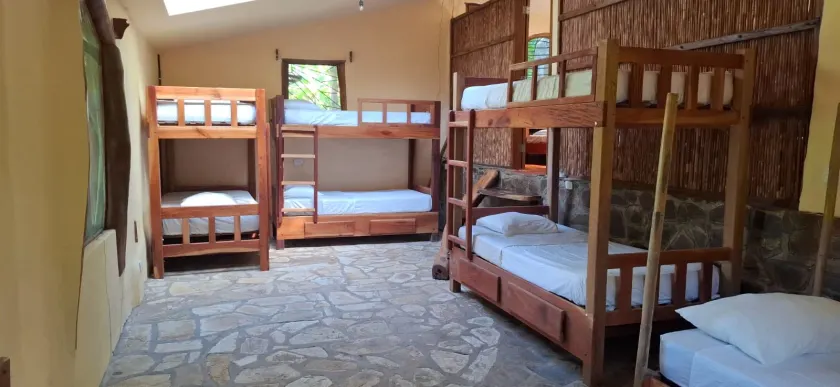 Totoco - Jungle Dorm - mix - Image 1
