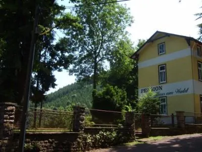 Haus Am Wald Pension - Image 1
