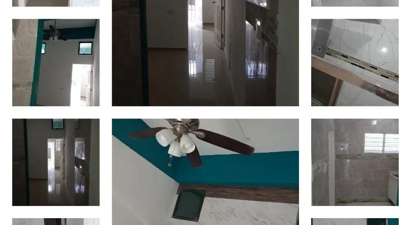 Cocos - Image 1