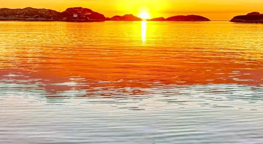 Tofterøy Camping - Image 1