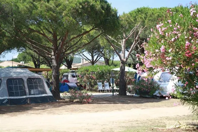Les Pins Pitchouns - Image 1