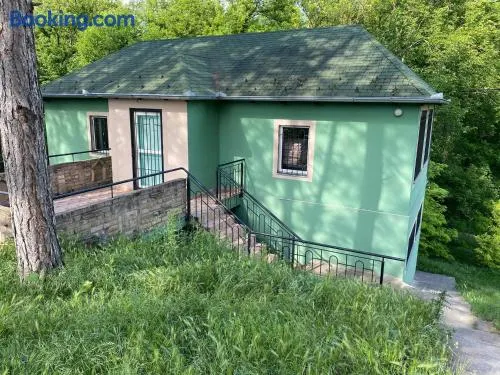 Zelena Kuca - Image 1