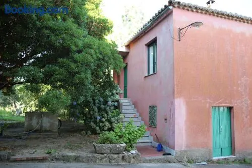 Casa Vacanze Soveri, in un parco di ulivi, palme, castagni secolari. - Image 1