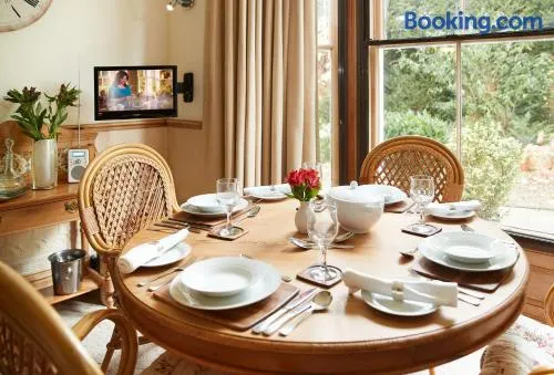 Cygnet Apartment - Image 1