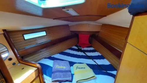 B&B Velero Jaws Evasion - Image 1