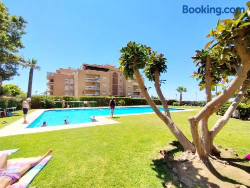 Apartamento Oliva - Image 1