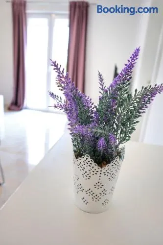 Apartment Velvet - Image 1