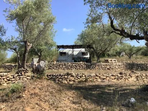 Gelimar - Image 1