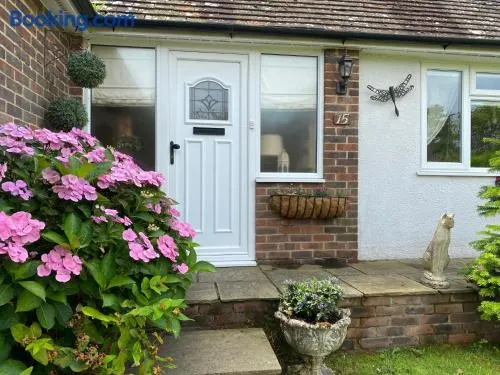 Entire home to rent - Beautifully presented detached chalet bungalow in Midhurst, West Sussex - Image 1