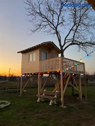 The Happy Caravan & The Tree House - Image 1