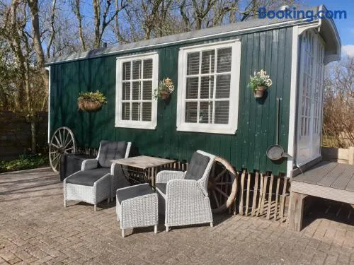 Pipowagen in het groen - Image 1