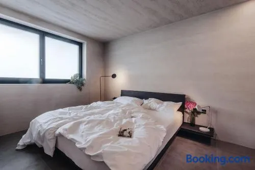 Balzer Boutique Apartments - Image 1