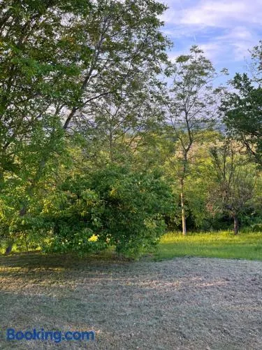 Casa singola immersa nel verde - Image 1