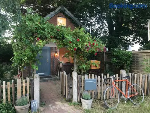 DEIN Ferienhäuschen im Wendland mit schnellem Internet und Kamin - Image 1