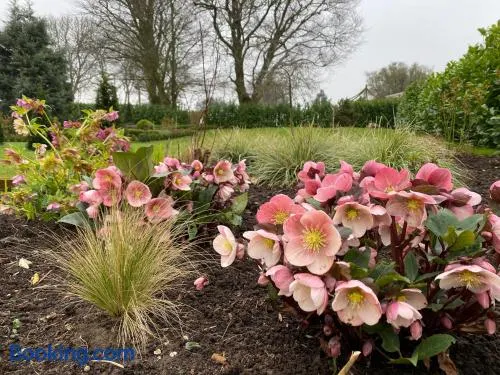 Bluebells Cottage - Image 1