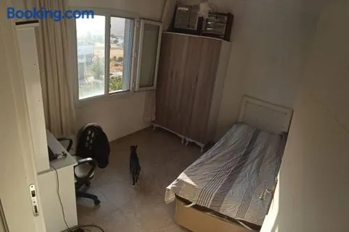 2+1 home in Gülbahçe. The cats in the photos won't be at home and the home will be cleared thoroughly. 1 minute to beach 10 minutes to surf house. - Image 1