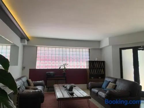 Eugenia305 C Lovely apartment located in Cdmx - Image 1
