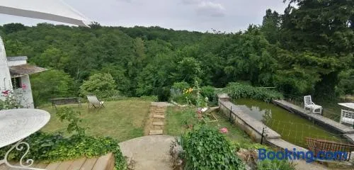 Vue exceptionnelle sur la foret - Image 1