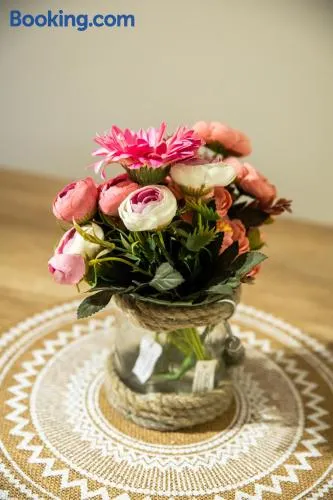Terry Home - Image 1