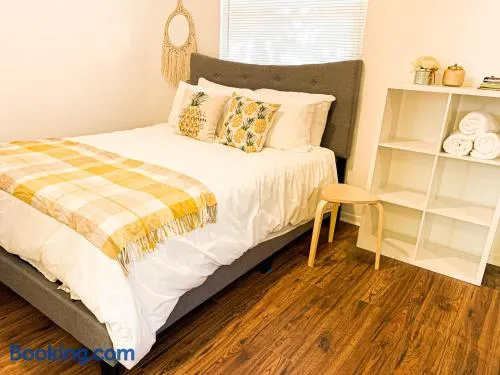 Pineapple Studio by Beach W/Full Kitchen - Image 1