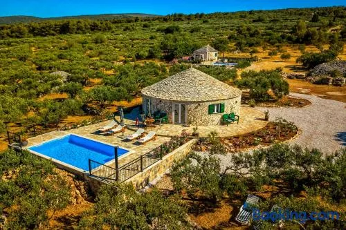 Olive Houses - Image 1