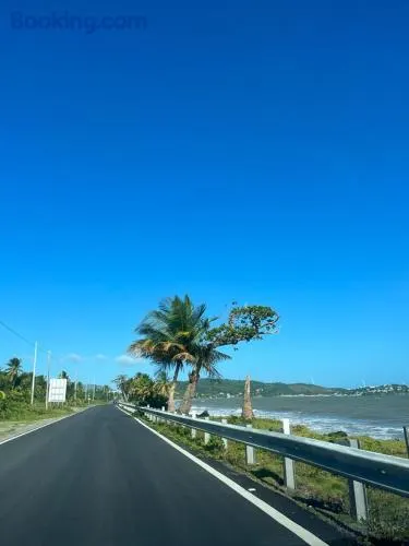 Tropical Prince - Image 1