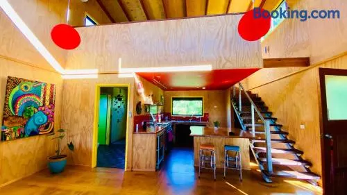 TIMBER GYM "Frank's Place" Funky Arthouse - Image 1