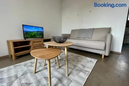 Large apartment Roanne center - Image 1