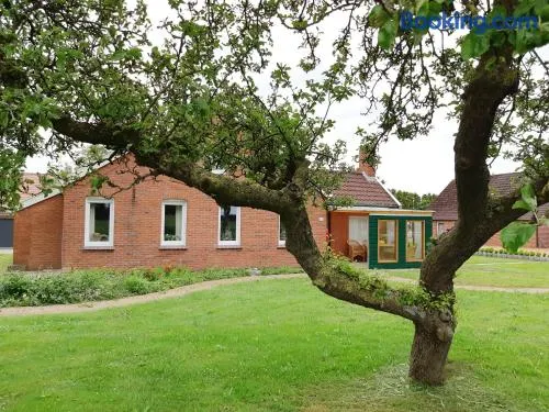 Monteurzimmer Vakantiehuis de Groene Serre - Image 1