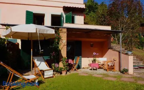 La Bouganville - Image 1