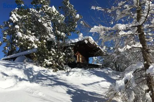 Blockhütte / Ferienhütte - Image 1