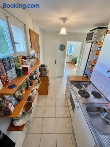 Nice Central Entire Appartement with Plants at the Rheinfalls - Image 1
