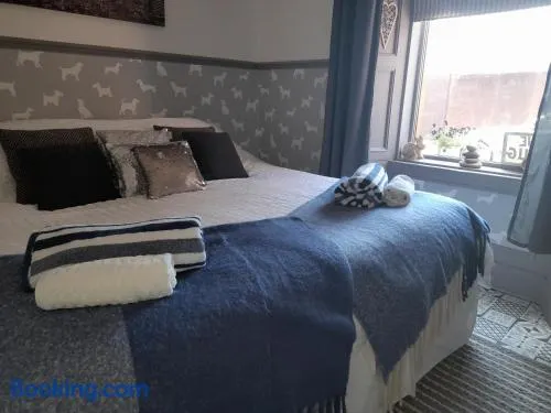 The Snug - Image 1
