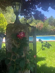 Finca Vergel - Image 5