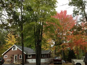Cozy Northwoods Cabin - Image 4
